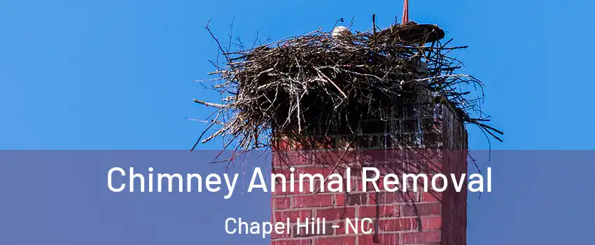 Chimney Animal Removal Chapel Hill - NC