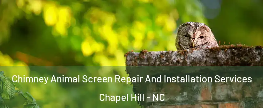  Chimney Animal Screen Repair And Installation Services Chapel Hill - NC