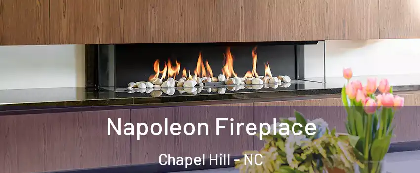  Napoleon Fireplace Chapel Hill - NC
