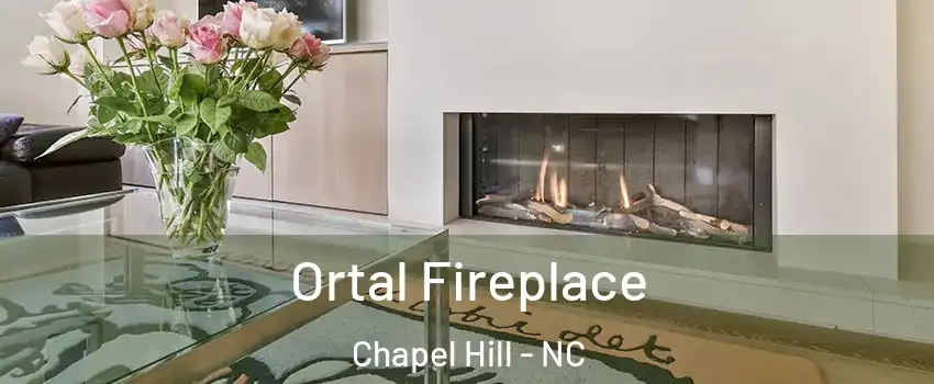 Ortal Fireplace Chapel Hill - NC